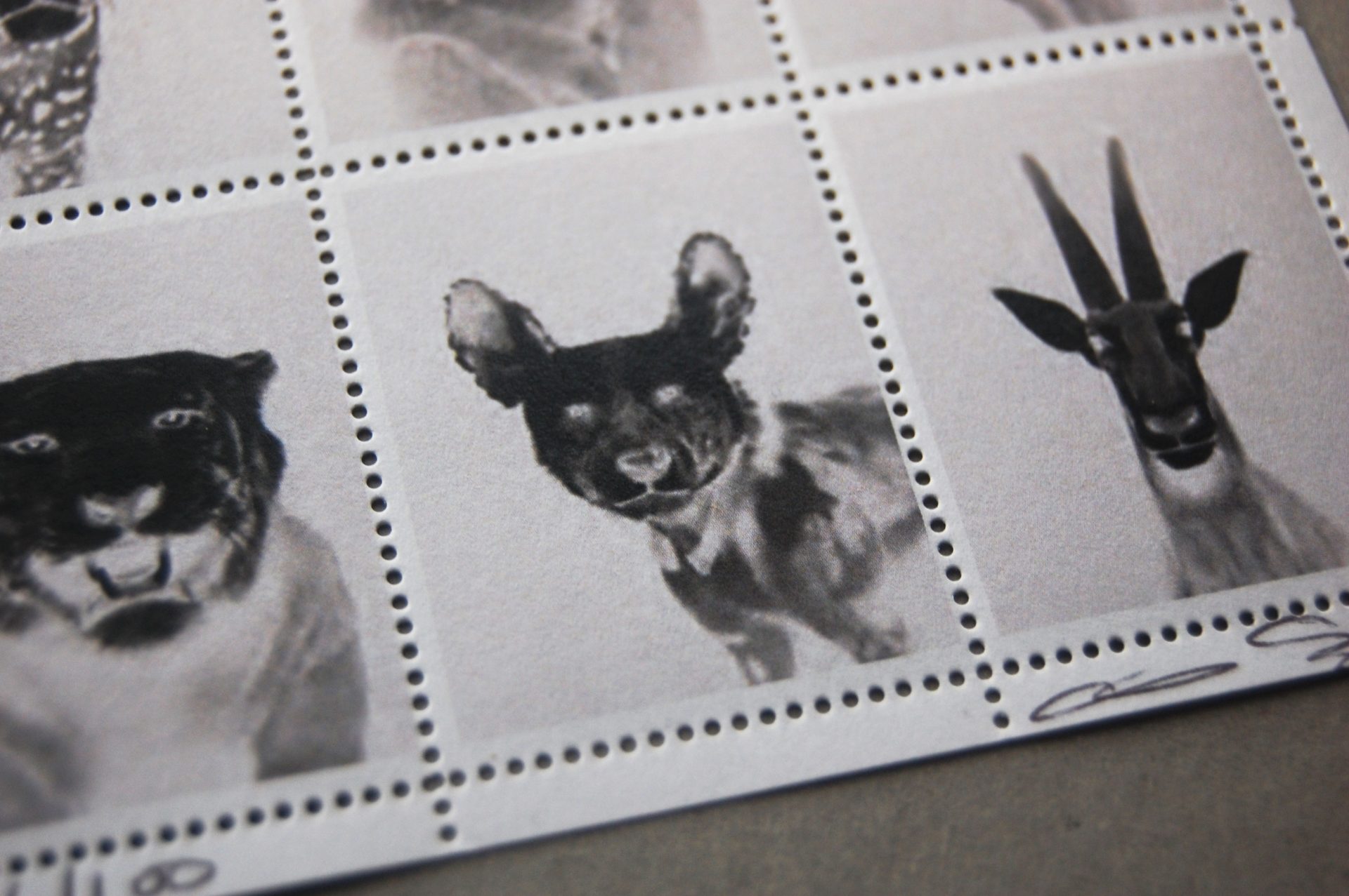 Christina Seely detail