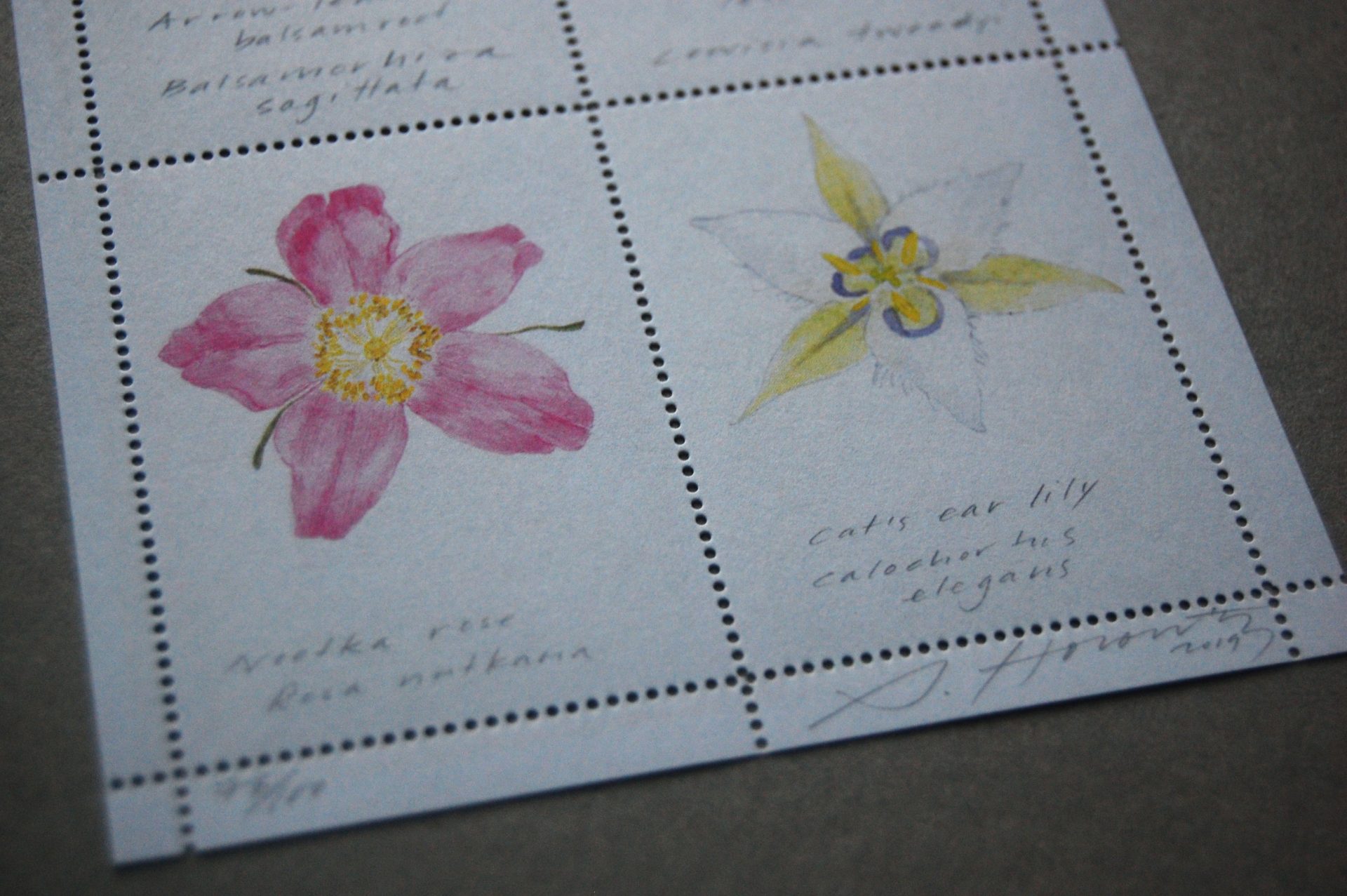 Sarah Horowitz artist stamp