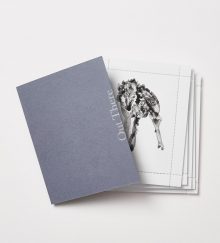 09012021 plazm stamps 9548