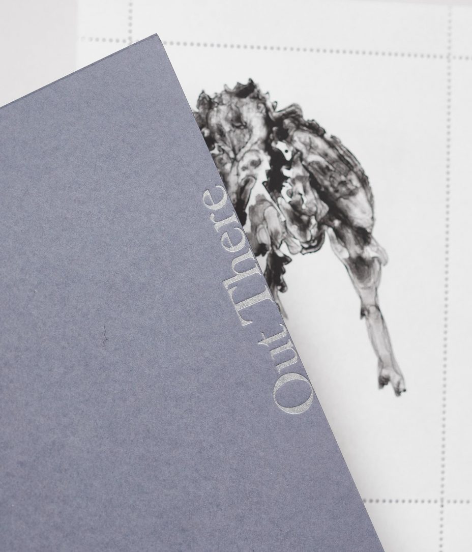 vanessa renwick out there stamps cover detail 1