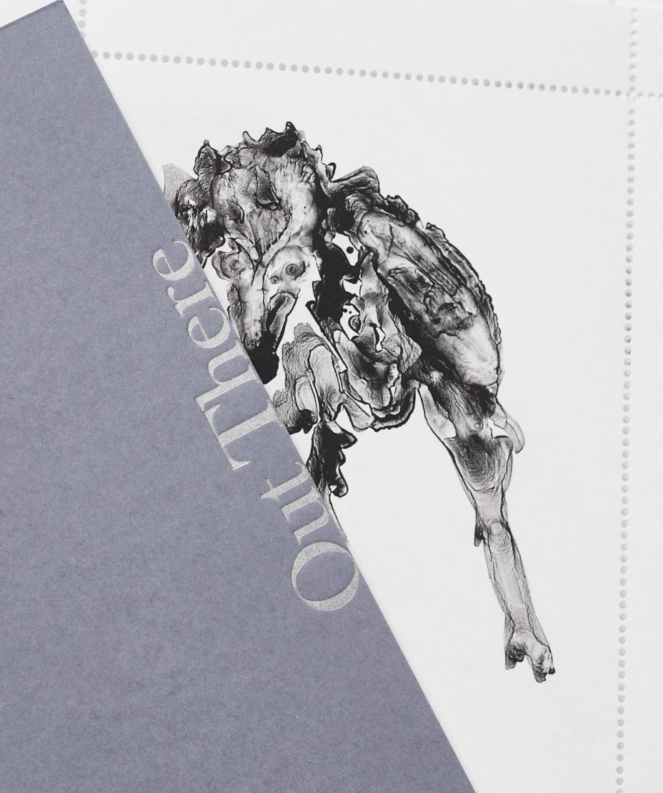 vanessa renwick out there stamps cover detail 2