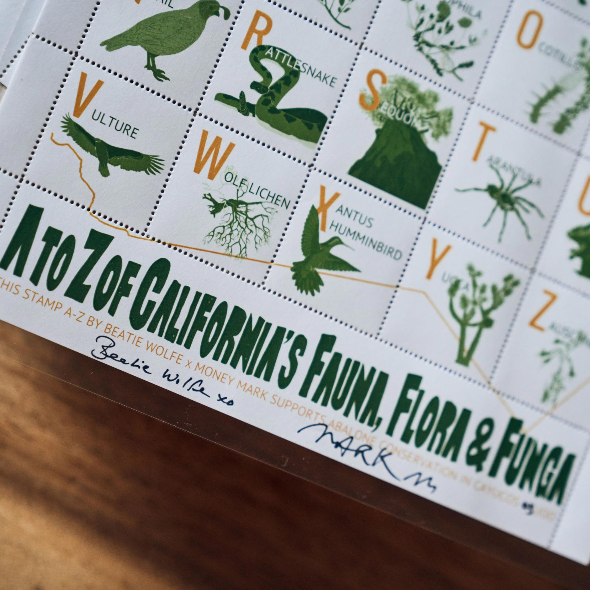 BEATIE wolfe money mark A Z stamps detail