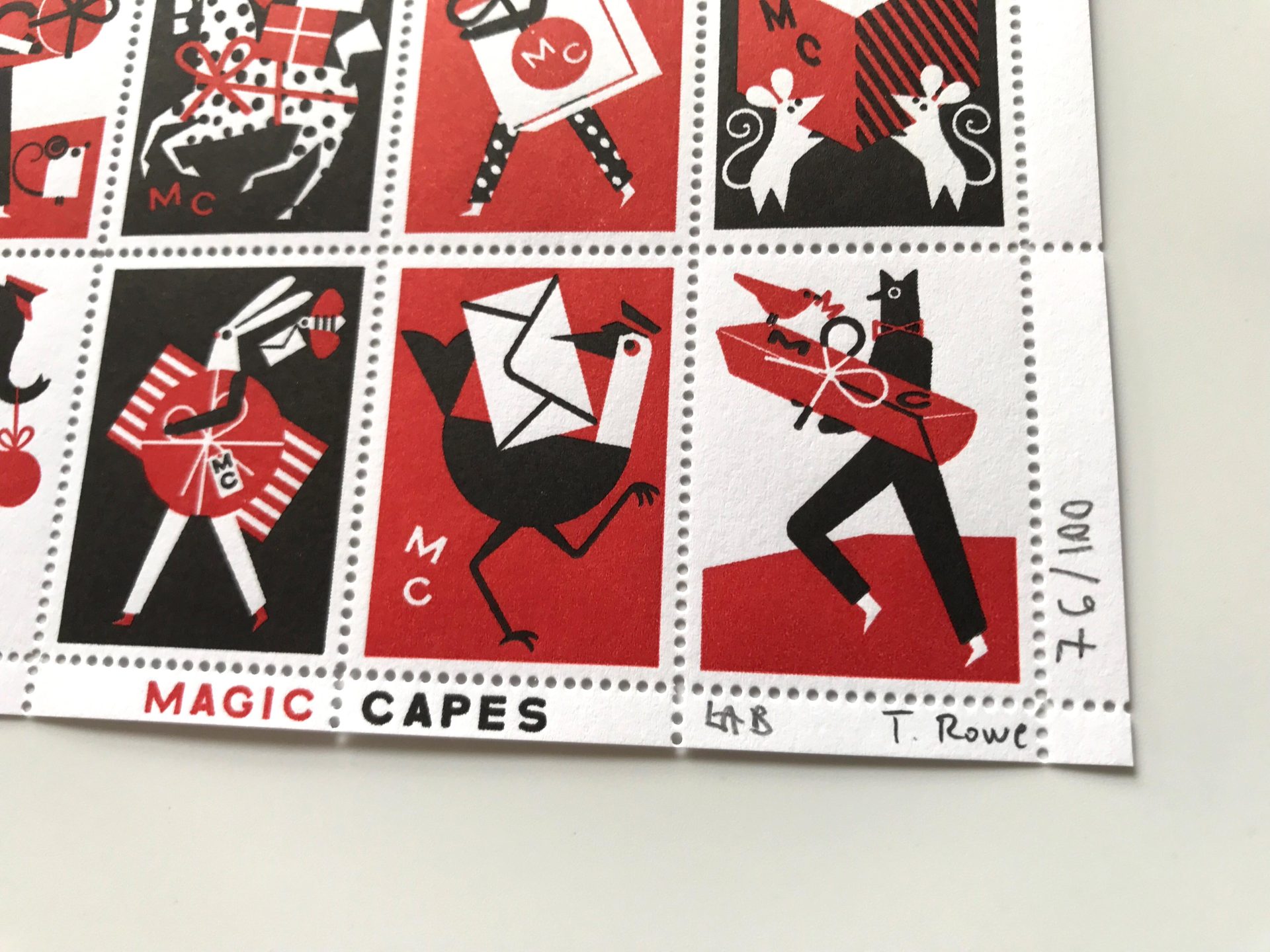 lesley barnes thereza rowe magic capes detail 2