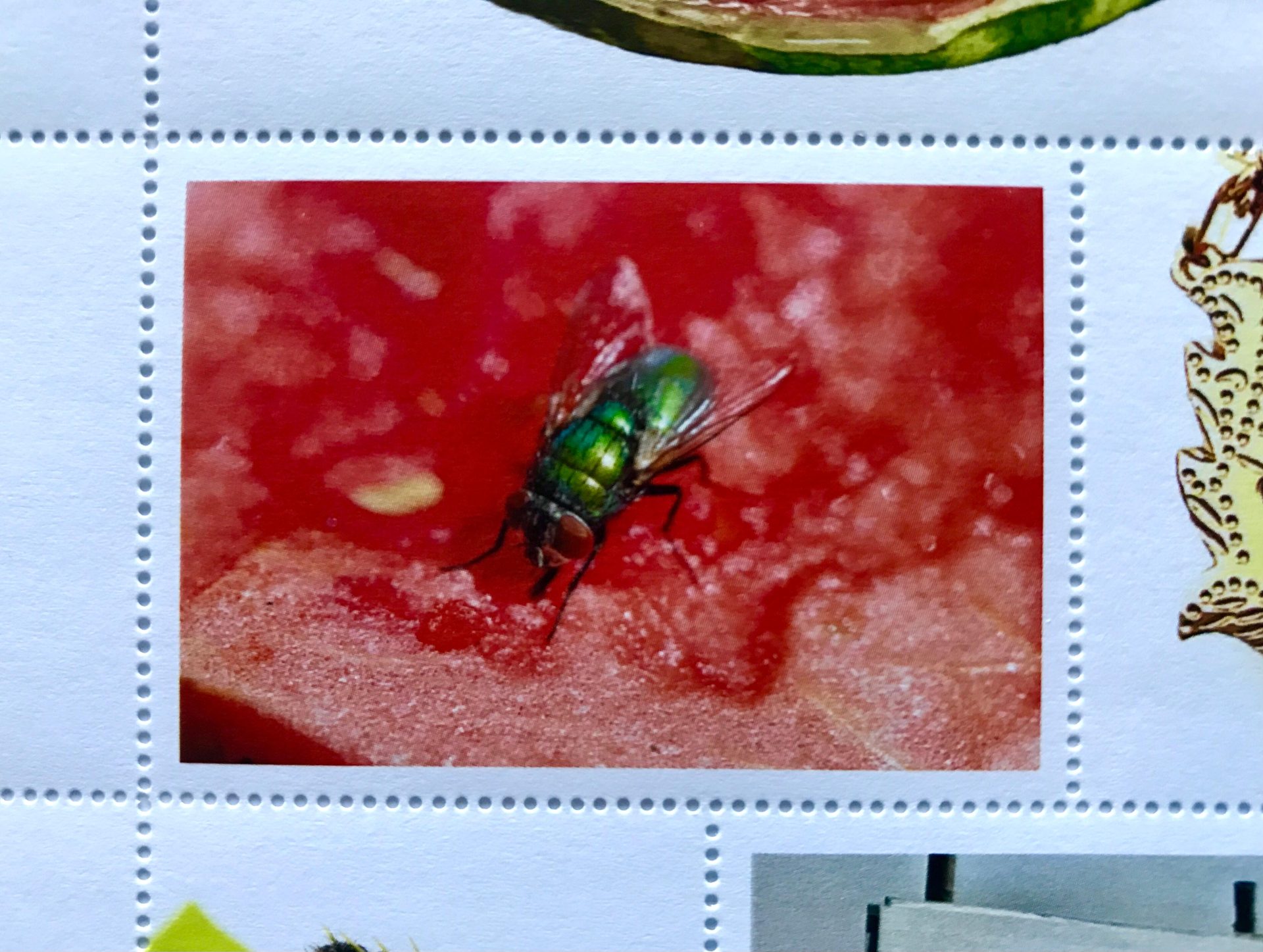 christine miller artist series 54 red black and green detail 3